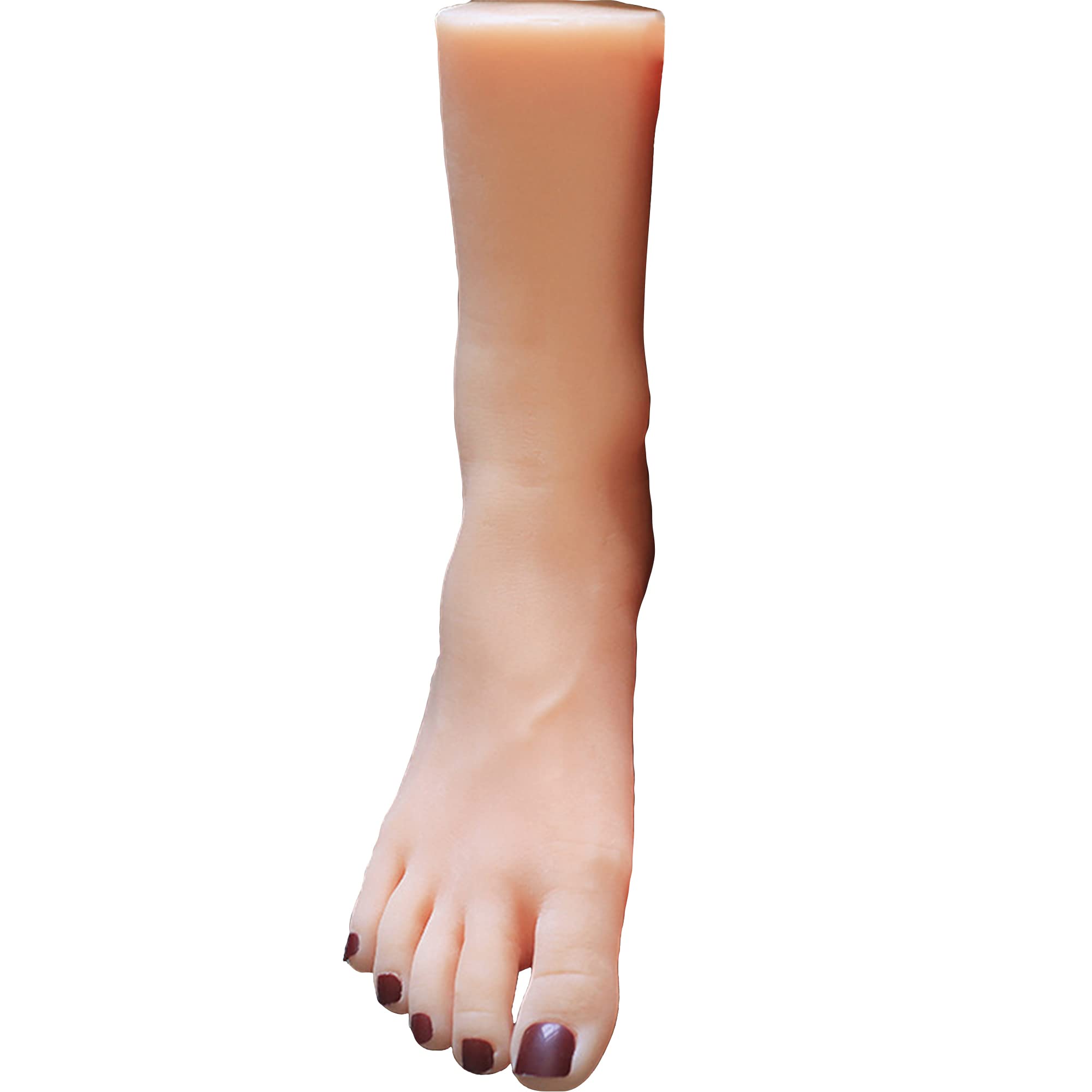 足の模型 シリコン等身大マネキンフット 両足 女性 23cm Amazon.co.jp: 等身大 1/1 シリコン製 フットモデル 23.5CM 脚